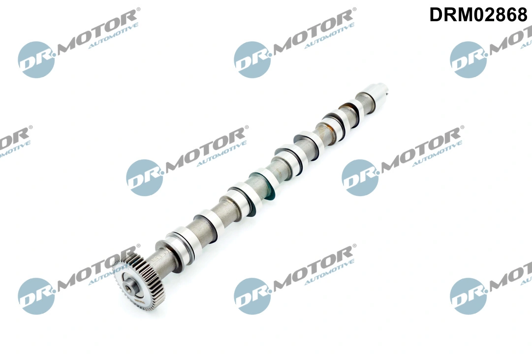 Camshaft